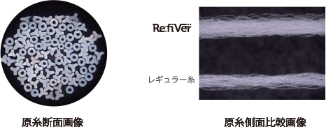 原糸断面画像　原糸側面比較画像