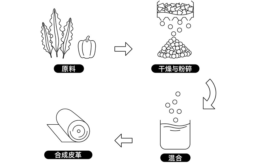 有效利用食品残渣的合成皮革